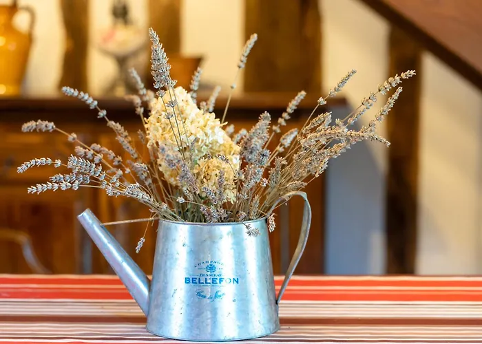 Petit Chantalaoude * Sabres